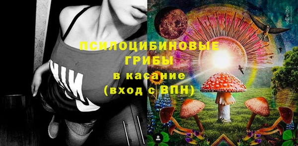 стафф Алексин