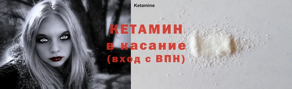 стафф Алексин