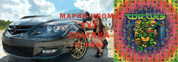 стафф Алексин