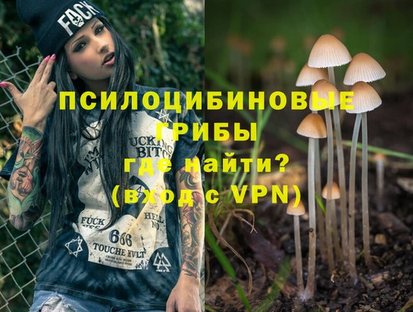 стафф Алексин